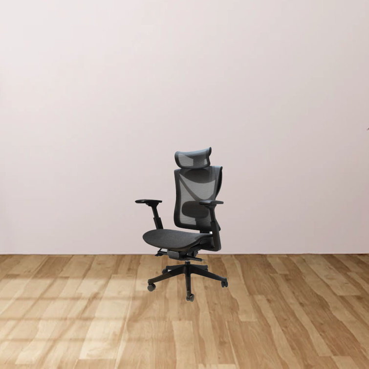 Inbox Zero Kosmoski Ergonomic Mesh Task Chair Wayfair